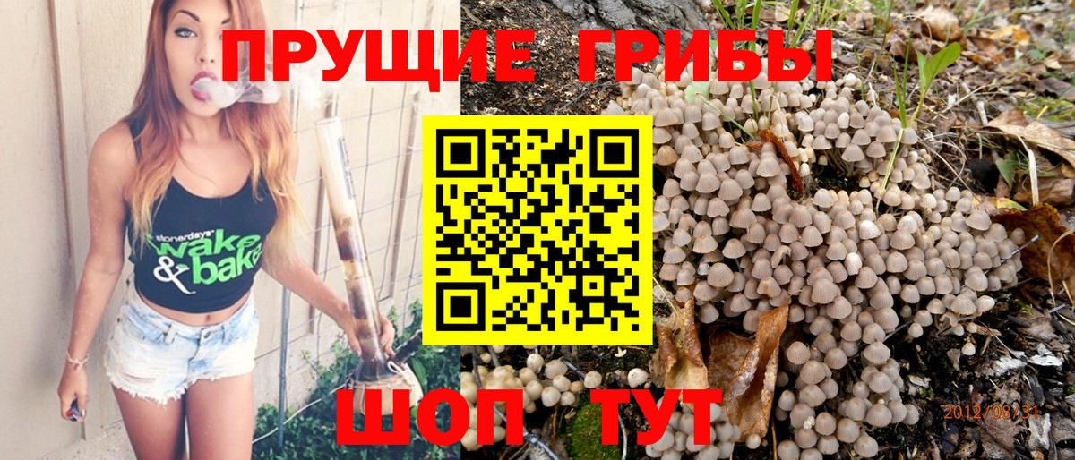 Санкт-Петербург  Псилоцибиновые грибы мицелий  закладка  Вход с VPN 